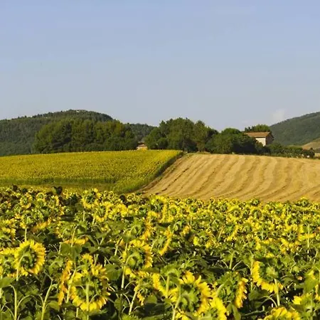 San Quirico Sleeps 14 Pool Wifi 别墅 San Quirico (Avigliano)