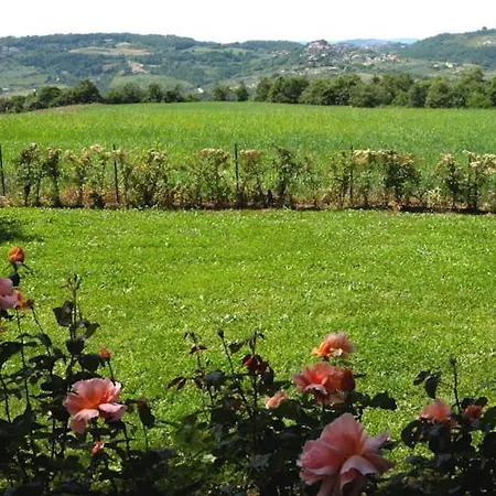 San Quirico Sleeps 14 Pool Wifi