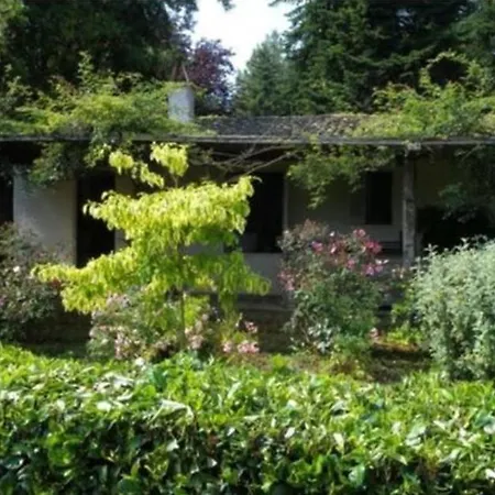 San Quirico Sleeps 14 Pool Wifi San Quirico (Avigliano)
